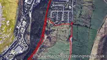 The field in Tameside where 175 'executive' homes will be built
