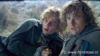 Wat gebeurde er met Merry en Pippin na 'The Lord of the Rings: Return of the King'?