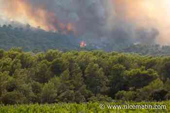 De 1.000 à 2.500 hectares brûlés : du Var à la Gironde, les pompiers se battent contre deux incendies d’ampleur