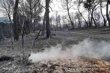Incendie dans le Var : le feu de Pontevès n’a pas progressé dans la nuit, un hélicoptère lourd Puma Charlie attendu ce jeudi matin en renfort