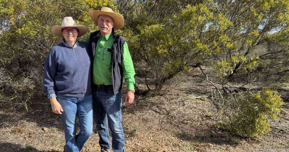'Pink zone' fight bolstered as farmers vote on state's energy future