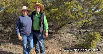'Pink zone' fight bolstered as farmers vote on state's energy future