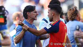 Argentina assistant coach explains reason behind Dani Olmo 'punch' in ugly post-World Cup final scenes - as he insists 'it was more of a push'