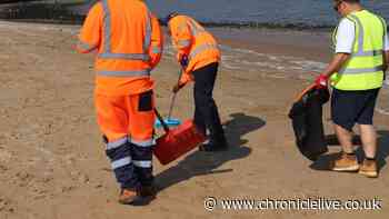 'Dogs on leads' warning on Tyneside coast as clean-up launched after Port of Tyne collision