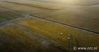 Onderzoek: extreme droogte is geen toeval, ‘verdampingsomstandigheden’ nemen toe door klimaatverandering