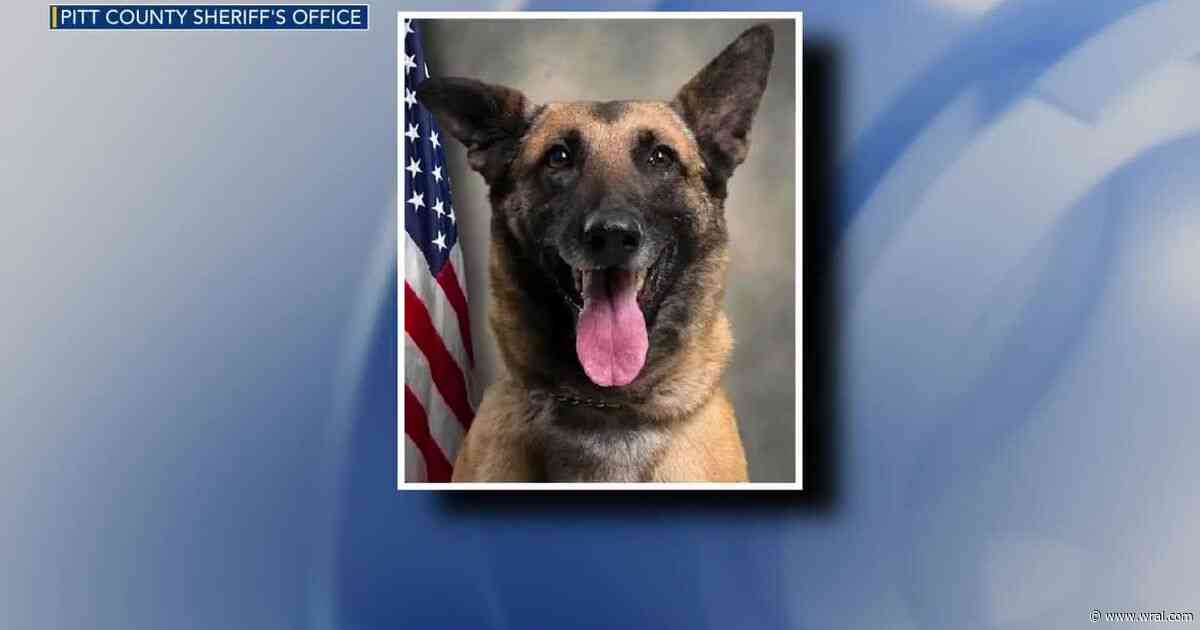 Pitt County Sheriff's Office K-9 dies in hot car