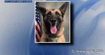 Pitt County Sheriff's Office K-9 dies in hot car