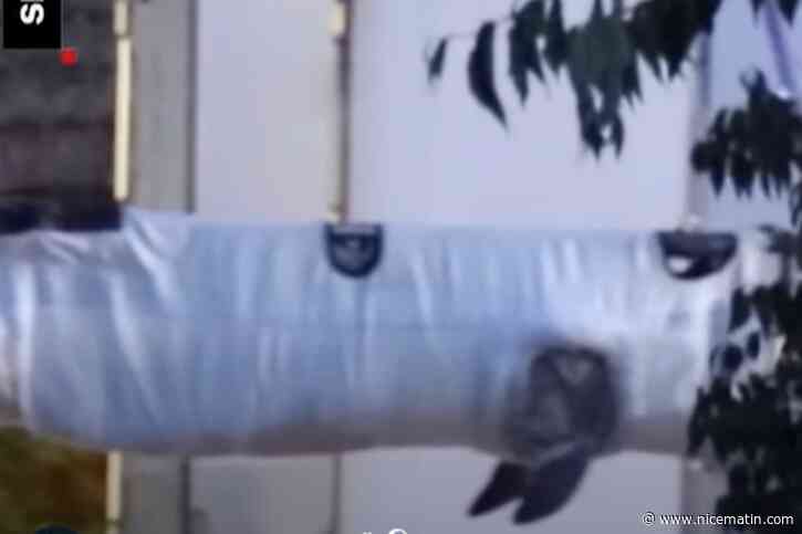 Soulevage par grue, convoi exceptionnel... les images impressionnantes du transfert des dauphins de Marineland vers Malaga en Espagne