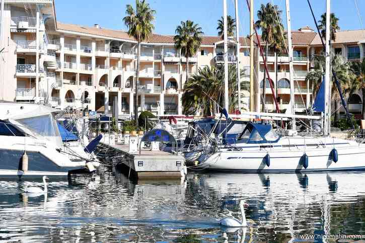 Réfections des quais et des pontons flottants, modernisation de la station-service et des réseaux… les premiers chantiers de la métamorphose de Port-Fréjus se préparent