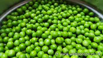 Restaurant method makes frozen peas better than fresh, expert says