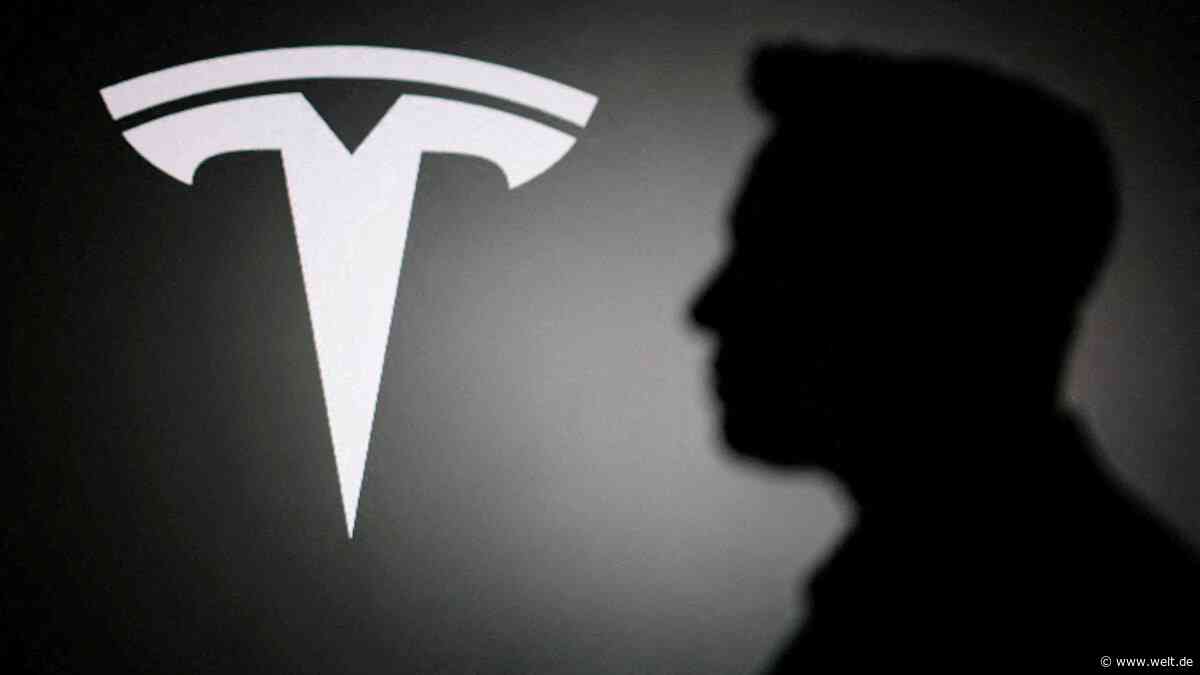 Jetzt offenbart sich der wahre Masterplan für Tesla