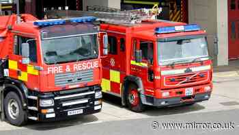 Firefighters face disciplinary probe after 'letting sick child ride fire engine'