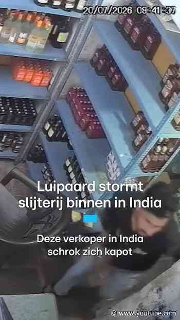 Luipaard stormt slijterij binnen in India | RTL Nieuws