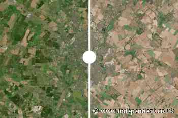 Dramatic before and after pictures show devastating impact of Britain’s record-breaking heatwaves