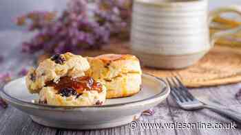 Scones will be 'flaky and tender' every time by adding 1 simple ingredient to the bowl