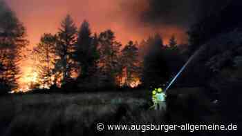 Waldbrandgefahr in Bayern: In diesen Regionen ist am Wochenende Vorsicht geboten