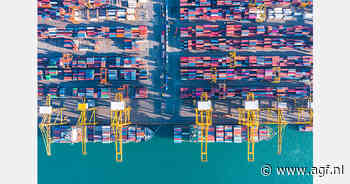 Van havenbaas tot vastgoedinvesteerder