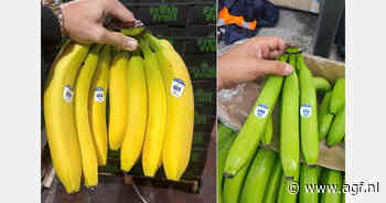 "We behoren tot de top-5 van bananenleveranciers aan de Balkan"