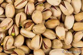 Uroloog: “Pistachenoten zijn een fantastische snack voor de seks”
