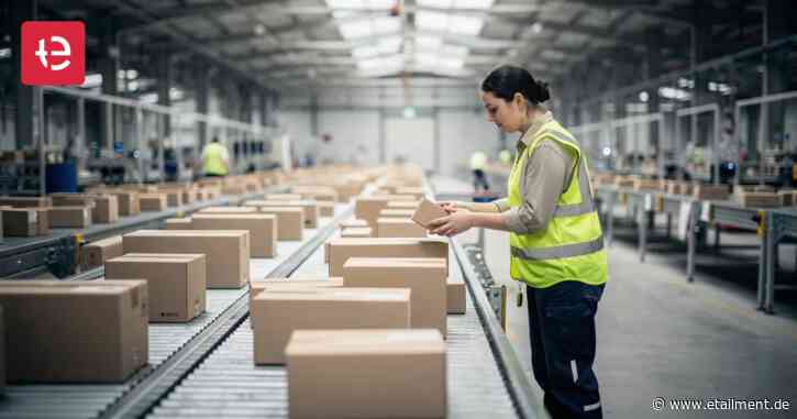 EU: 97 Prozente aller Pakete aus dem E-Commerce