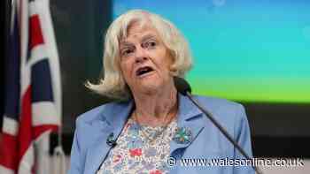 Family planning public memorial for Ann Widdecombe later this year