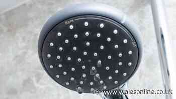 Limescale can be eliminated from shower head in 10 minutes with 2 ingredients