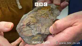 Is this Leeds' oldest fish?