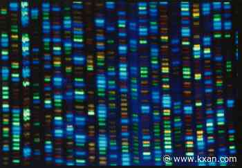 Humans could theoretically live up to 156 years, study says