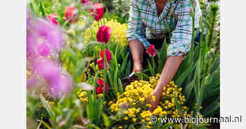 Zorgboerderij schenkt biologische bloemen aan zes woonzorgcentra in Vlaanderen
