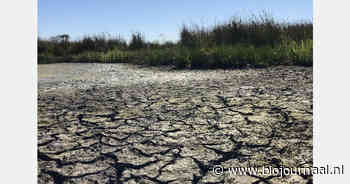Droogte houdt aan tot september, gevolgen voor beschikbaarheid van zoetwater in landbouw