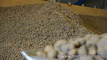 Aardappelprijs trekt sprint naar 20 euro en meer