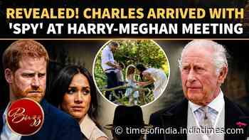 Queen Camilla Had One Key Mission During Harry And Meghan's Royal Reunion, Author Claims