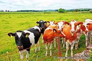 NFU Scotland demands milk price rise as spot values hit 50p