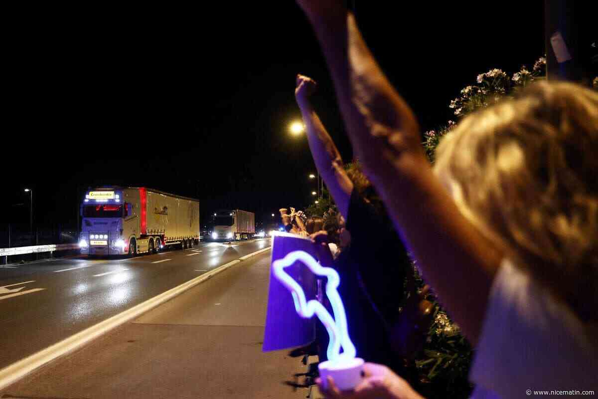 Les 8 dauphins de Marineland sont arrivés à Malaga, les ONG restent en alerte et veulent être rassurées sur l’état de santé des cétacés