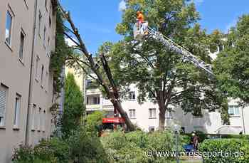 FW-M: Baum stürzt auf Haus (Berg am Laim)