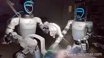 What could go wrong? Watch as two humanoid robots perform SURGERY on pigs - as scientists say humans could be next