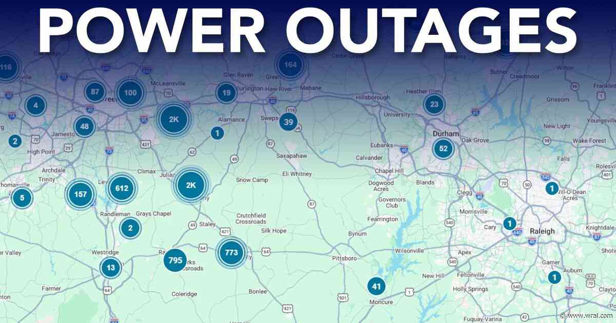 Trees fall in Triangle, 2,000+ customers lose power in Durham as heavy rain falls