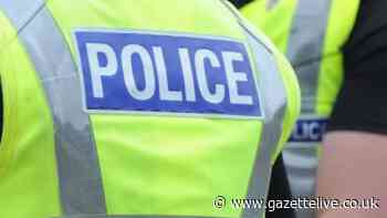 Man 'exposed himself to young girls' in Ingleby Barwick park and shouted at group of teens