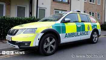 Driver in hospital after paramedic car hits tree