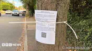 Residents oppose plan to cut down trees