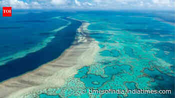 Scientists uncover 500 plus new bacterial species hidden in Great Barrier Reef