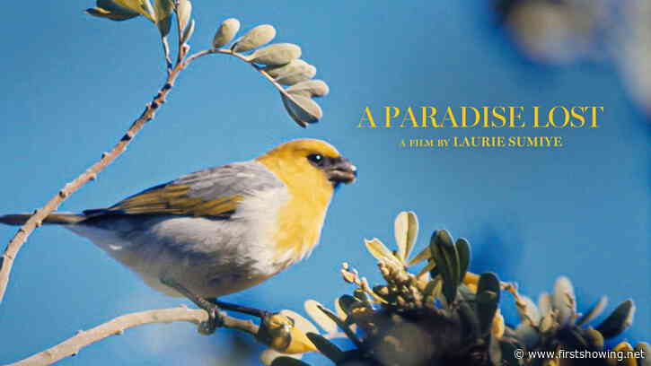 Conservationism Doc 'A Paradise Lost' Trailer - Saving a Hawaiian Bird