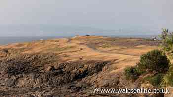 Drought declared in Wales - full list of areas affected by severe dry weather