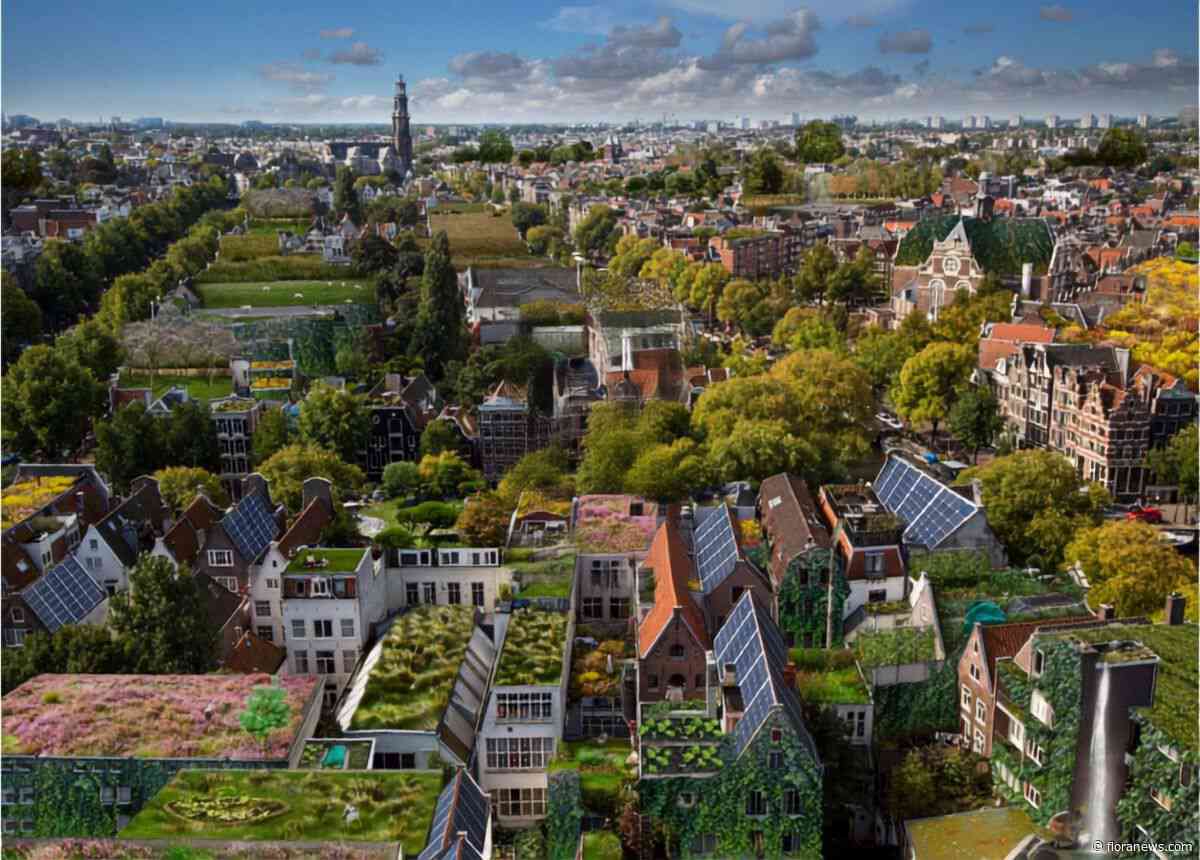 Rooftop Symposium & Festival viert tien jaar ontwikkeling van groene daken