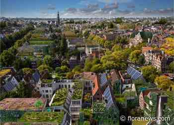 Rooftop Symposium & Festival viert tien jaar ontwikkeling van groene daken