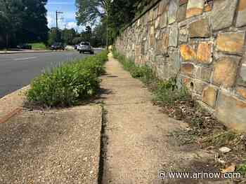 County Board candidates debate the need for more neighborhood sidewalks