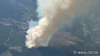New evacuation order, alerts issued in Squamish-Lillooet region as wildfires rage across B.C.