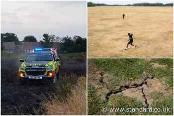 Heatwave to grip London 'within days' as wildfires burn and drought declared