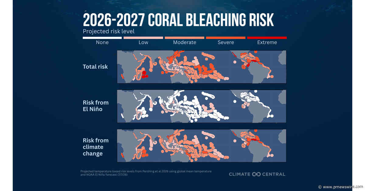 Human-caused climate change, not El Niño, is the driving force behind all global coral bleaching events, new research finds