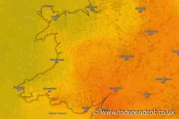 Drought declared across parts of Wales after record dry weather and heatwaves